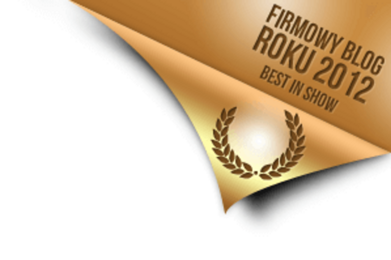 firmowy-blog-roku-2012.png