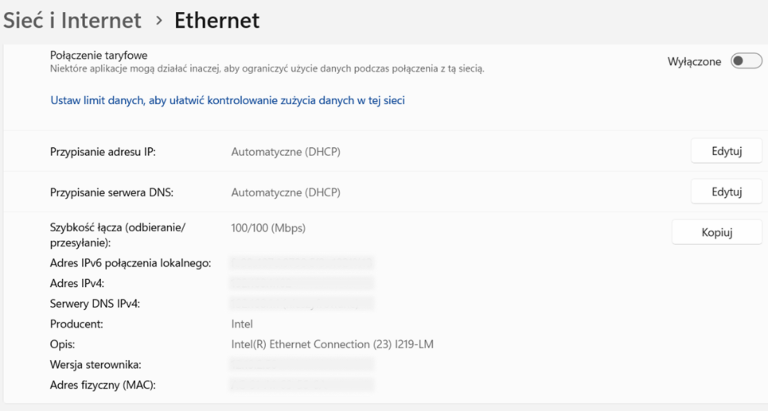 Ekran „Ethernet” w zakładce „Sieć i Internet” z informacją m.in. o szybkości łącza