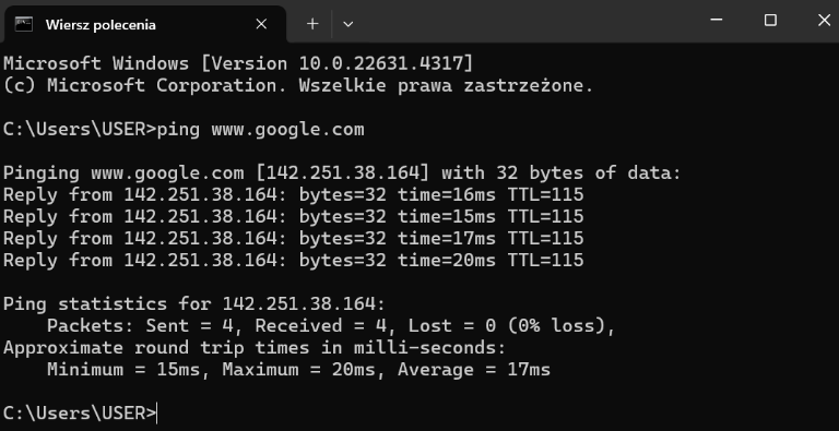 Wiersz polecenia z wynikami komendy PING