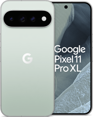 Google Pixel 11 Pro XL 5G 256GB, Fog